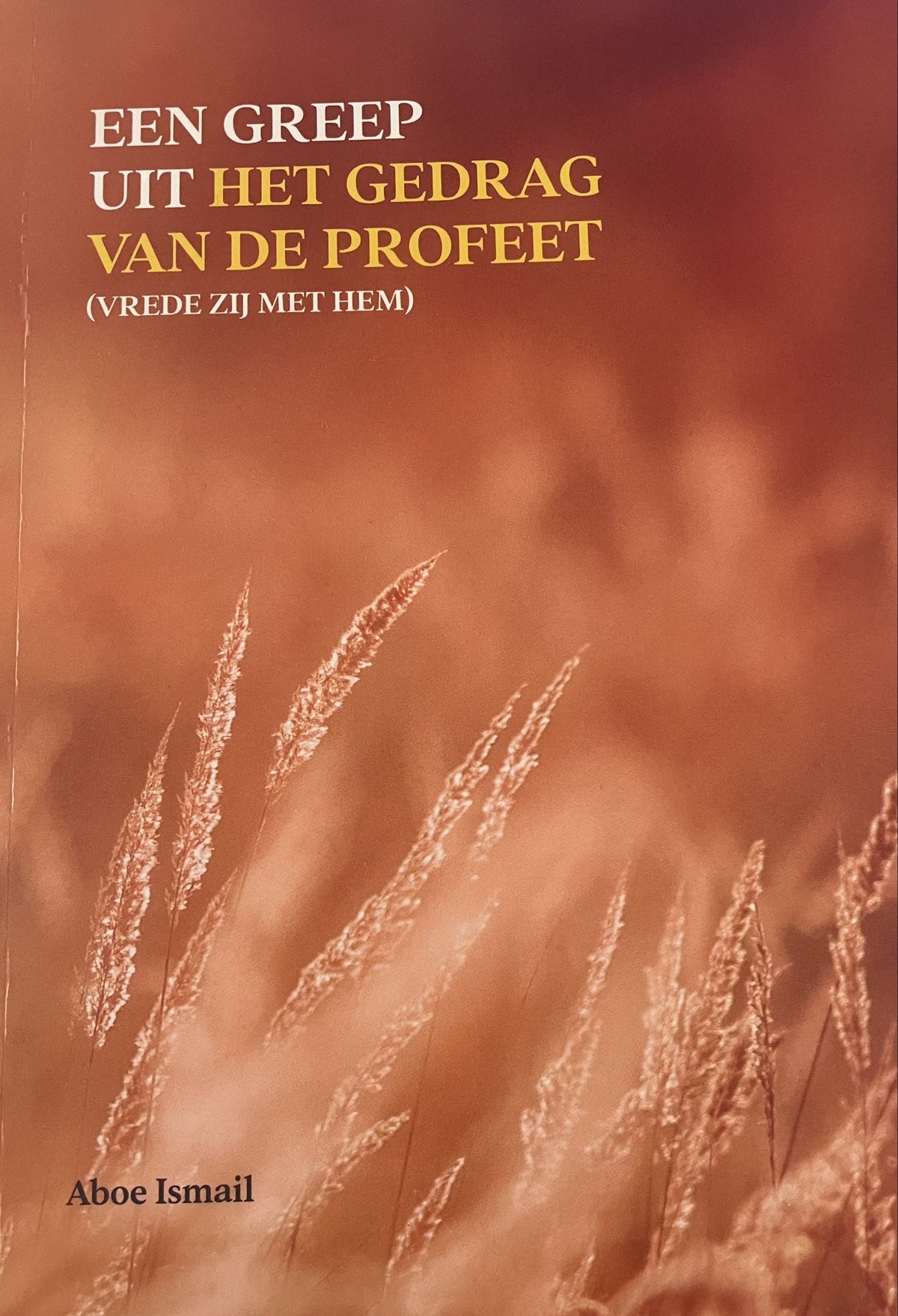 Een greep uit het leven van de profeet