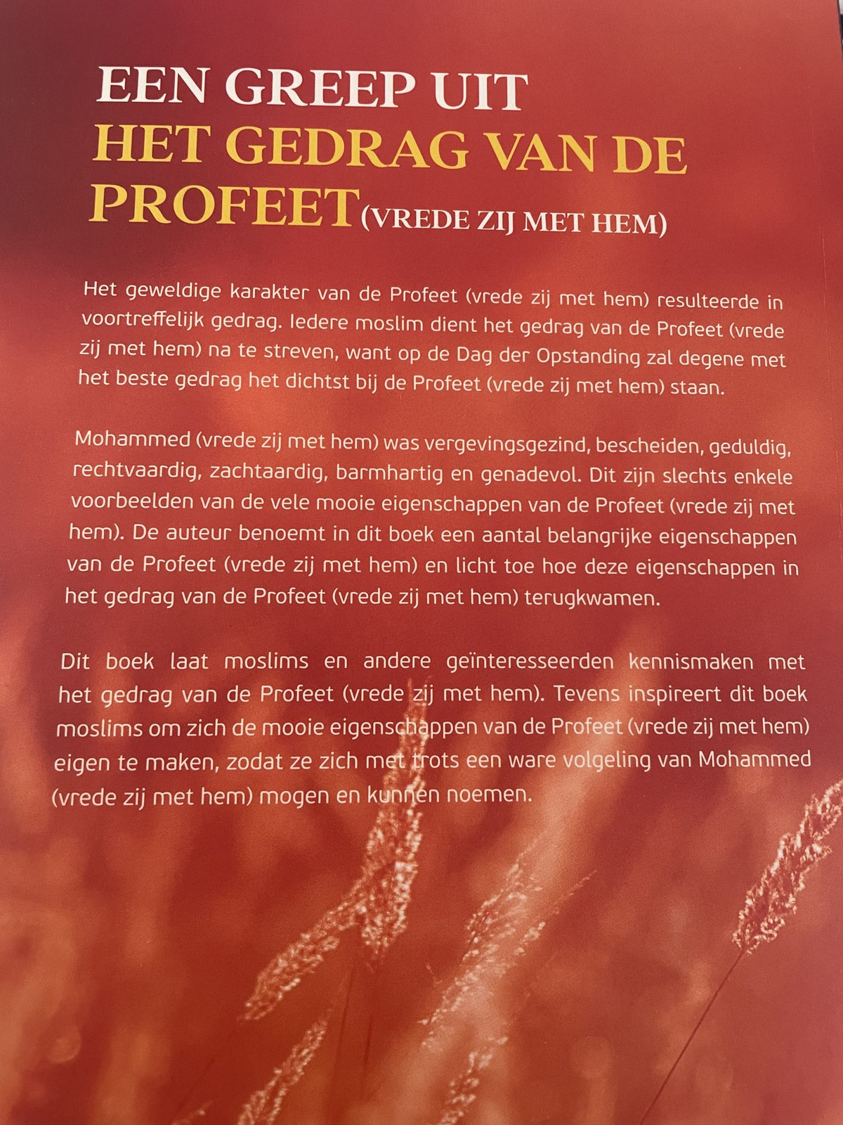 Een greep uit het gedrag van de profeet